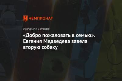 Этери Тутберидзе - Евгения Медведева - Брайан Орсер - «Добро пожаловать в семью». Евгения Медведева завела вторую собаку - championat.com - Челябинск - Канада
