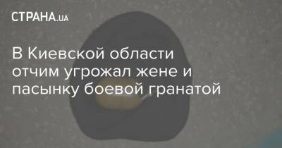 В Киевской области отчим угрожал жене и пасынку боевой гранатой - strana.ua - Киевская обл.