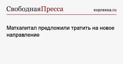 Анна Маркс - Маткапитал предложили тратить на новое направление - svpressa.ru