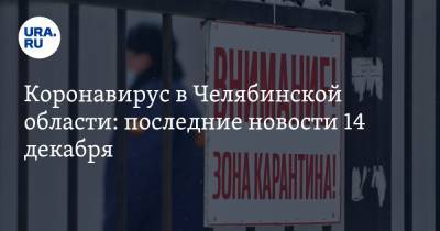 Коронавирус в Челябинской области: последние новости 14 декабря. Заразились сотни строителей ковидного госпиталя, медик стал звездой TikTok - ura.news - Челябинская обл. - Ухань