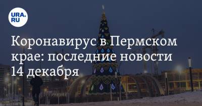 Коронавирус в Пермском крае: последние новости 14 декабря. Дистанционное обучение продлили, обновлен антирекорд числа заболевших - ura.news - Пермский край - Ухань