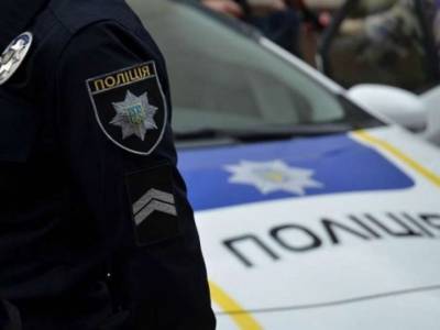 В Чернигове неизвестные сбросили собаку с моста на лед - lenta.ua - Черниговская обл.