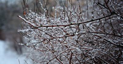 Туман, ледяной дождь и мокрый снег: прогноз погоды в Украине на неделю, 14-20 декабря - tsn.ua