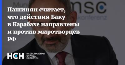 Никол Пашинян - Пашинян считает, что действия Баку в Карабахе направлены и против миротворцев РФ - nsn.fm - Армения - район Гадрутский