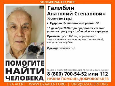 В Кудрово без вести пропал 79-летний мужчина с собакой - ivbg.ru - Ленобласть