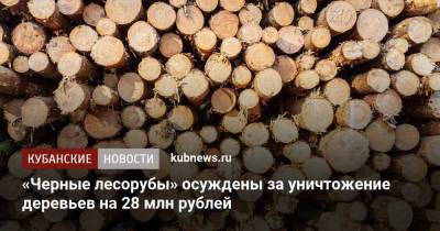 «Черные лесорубы» осуждены за уничтожение деревьев на 28 млн рублей - kubnews.ru