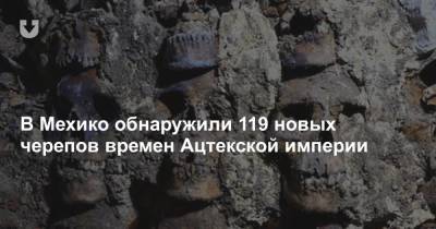 В Мехико обнаружили 119 новых черепов времен Ацтекской империи - news.tut.by - Мехико