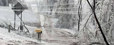 На Черниговщине ледяной дождь оставил без света почти 200 населенных пунктов - lenta.ua - Украина
