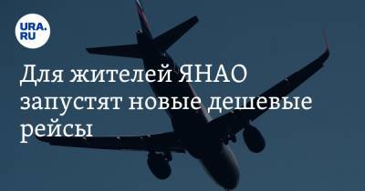 Для жителей ЯНАО запустят новые дешевые рейсы - ura.news - Сочи - Симферополь - Тюмень - Ноябрьск - Салехард - окр. Янао