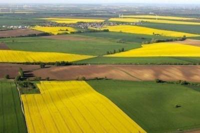 Агро - Эрозия распространяется: в Украине предлагают законсервировать часть земель - 24tv.ua