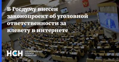 Дмитрий Вяткин - В Госдуму внесен законопроект об уголовной ответственности за клевету в интернете - nsn.fm
