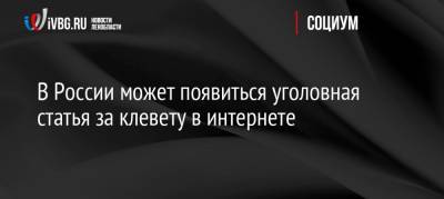 Дмитрий Вяткин - В России может появиться уголовная статья за клевету в интернете - ivbg.ru