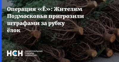 Александр Лазарев - Операция «Ё»: Жителям Подмосковья пригрозили штрафами за рубку ёлок - nsn.fm - Московская обл.