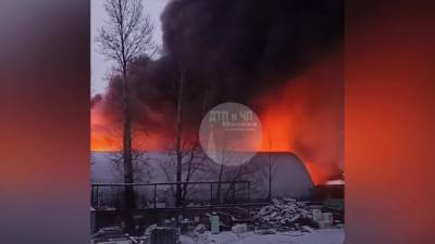 В МЧС сообщили о локализации пожара в Одинцово на складе площадью более 1200 метров - piter.tv