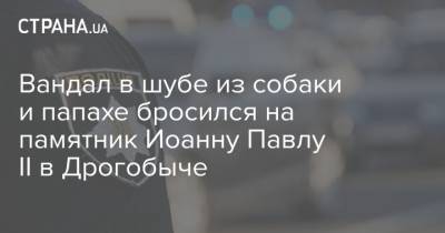 Иоанн Павел II (Ii) - Вандал в шубе из собаки и папахе бросился на памятник Иоанну Павлу II в Дрогобыче - strana.ua - Киев - Кривой Рог