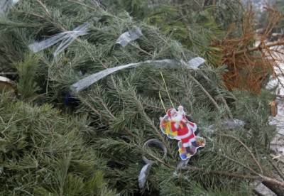 В Киеве откроют 15 пунктов по утилизации новогодних елок - facenews.ua - Украина - Киев