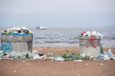 О высоком уровне загрязнения Финского залива микропластиком сообщили ученые - neva.today