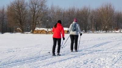 В Пензенской области проложат более 800 км лыжных трасс - penzainform.ru - Пензенская обл.