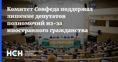 Комитет Совфеда поддержал лишение депутатов полномочий из-за иностранного гражданства - nsn.fm - Гражданство