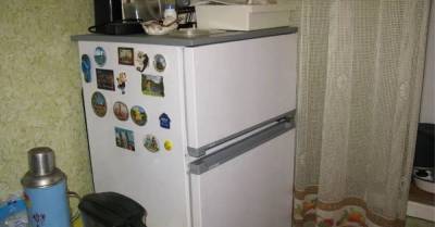 Зачем мастер прикладывал ухо к дребезжащему холодильнику - skuke.net