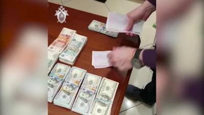 В Петербурге сотрудницу таможни подозревают в ущербе РФ на 35,8 млн рублей - piter.tv - Санкт-Петербург - территория Евразийский Экономический Союз