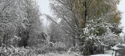 На Карелию надвигаются сильные снегопады - stolicaonego.ru - Петрозаводск - район Суоярвский - республика Карелия