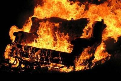 Хозяин частного дома погиб при пожаре в Чувашии - cheb.mk.ru - респ. Чувашия