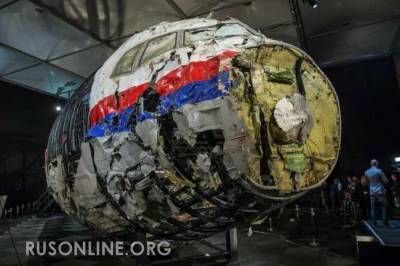 Почему «Боинг» MH17 падал 10 секунд? Американец нашёл загадочные факты в крушении над Донбассом - rusonline.org - США