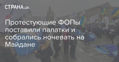 Сергей Доротич - Протестующие ФОПы поставили палатки и собрались ночевать на Майдане - strana.ua