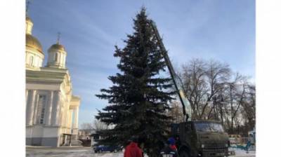 На Соборной площади впервые установили новогоднюю елку - penzainform.ru - Пенза