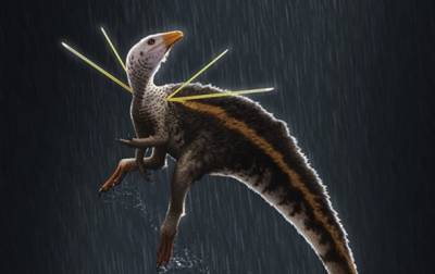 Найден новый вид динозавров с меховой гривой - korrespondent.net - Бразилия