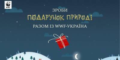 Сделай подарок саламандре. WWF запустили в Украине новогоднюю кампанию по сбору средств для сохранения диких животных - nv.ua