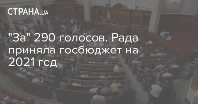 Дмитрий Разумков - Ольга Голубовская - "За" 290 голосов. Рада приняла госбюджет на 2021 год - strana.ua