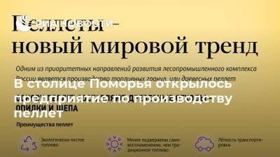 Александр Цыбульский - В столице Поморья открылось предприятие по производству пеллет - smartmoney.one - Архангельск - Поморье