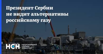 Сергей Лавров - Александр Вучич - Президент Сербии не видит альтернативы российскому газу - nsn.fm - Сербия