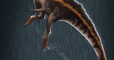 Ученые обнаружили неизвестный вид динозавров - focus.ua - Бразилия