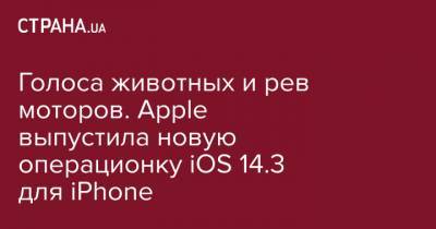 Голоса животных и рев моторов. Apple выпустила новую операционку iOS 14.3 для iPhone - strana.ua