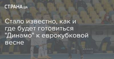 Игорь Суркис - Стало известно, как и где будет готовиться "Динамо" к еврокубковой весне - strana.ua - Киев - Турция - Эмираты