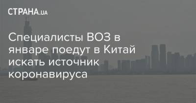 Специалисты ВОЗ в январе поедут в Китай искать источник коронавируса - strana.ua - Китай - Ухань