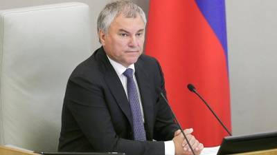 Вячеслав Володин - Володин: с принятием поправок к Конституции выросли стандарты жизни россиян - znak.com - США
