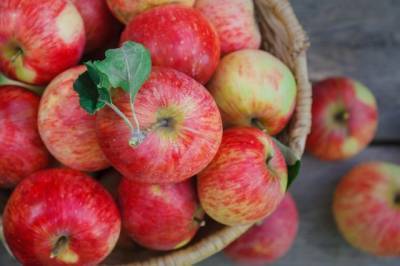 Ученые выяснили, как употребление яблок защищает от COVID-19 - enovosty.com