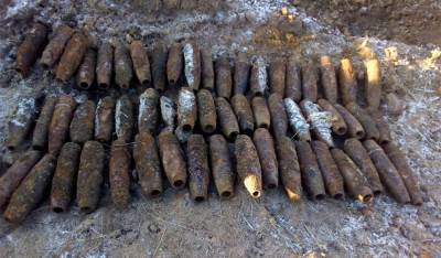 Поисковики нашли в лесу 40 снарядов времен войны - lipetskmedia.ru - район Тербунский