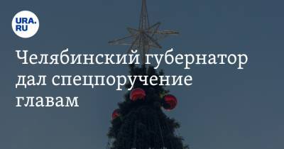 Алексей Текслер - Челябинский губернатор дал спецпоручение главам - ura.news - Челябинская обл. - Челябинск