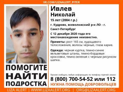 В Кудрово без вести пропал 15-летний мальчик - ivbg.ru - Ленобласть