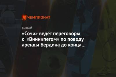 Михаил Бердин - «Сочи» ведёт переговоры с «Виннипегом» по поводу аренды Бердина до конца сезона КХЛ - championat.com - Сочи