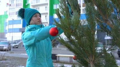 Жителям Спутника установили елки во дворах - penzainform.ru - Спутник