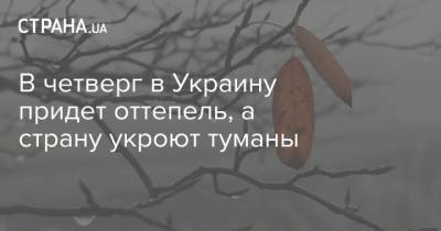 Наталья Диденко - В четверг в Украину придет оттепель, а страну укроют туманы - strana.ua