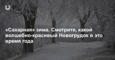 «Сахарная» зима. Смотрите, какой волшебно-красивый Новогрудок в это время года - news.tut.by