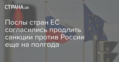 Баренд Лейтс - Послы стран ЕС согласились продлить санкции против России еще на полгода - strana.ua - Россия - Брюссель - Донбасс - Крым