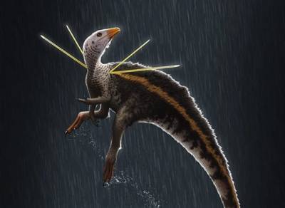 Новый вид динозавров с перьями и гривой найден учёными - inform-ua.info - Бразилия
